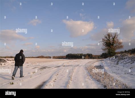 Man Walking Across Snow Covered Field Winter In Tunstall Suffolk Stock