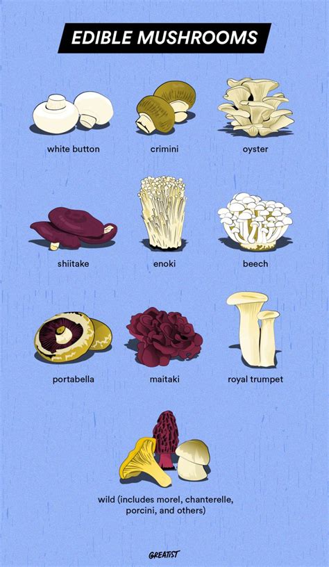 Edible Mushrooms Delicious Varieties To Try