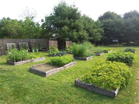 How many square foot in 1 squares? Square Foot Gardening Thread - Page 36