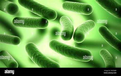 Bacteria On Green Background Prokaryotic Microorganisms Bacillus