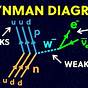 Feynman Diagram Worksheet