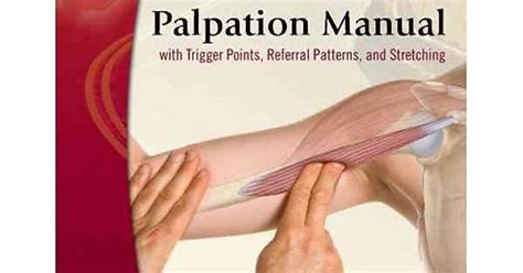 The Muscle And Bone Palpation Manual With Trigger Points Referral Patterns And Imgur