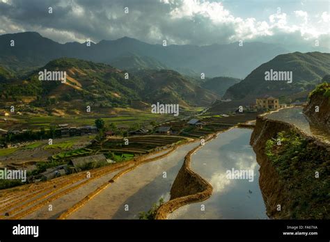 Rice Terraces Sapa Vietnam Stock Photo Alamy