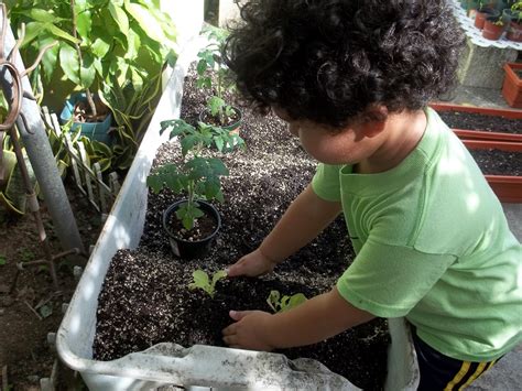Actividades Ambientales Para Los Niños Parques Alegres Iap