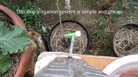 Rotors or rotating sprinkler heads also work better on these surfaces: Creating A Simple Drip Irrigation System from Plastic Bottle - YouTube