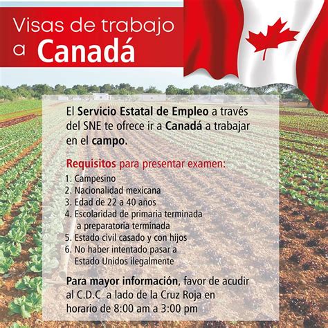Visas Para Trabajar En Canadá Gobierno Municipal Nochistlán