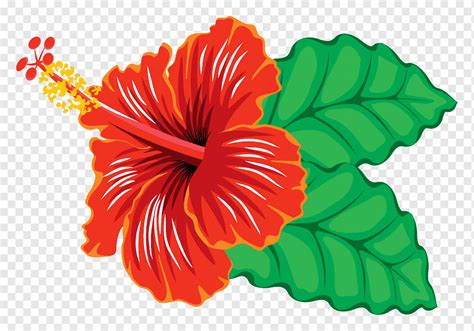 Hawaiian Hibiscus Yellow Hibiscus Clip Art Png 600x600px Clip Art