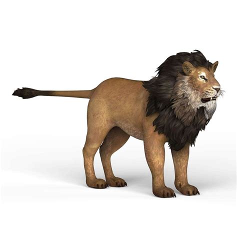 Lion 3d Model By Treeworld3d