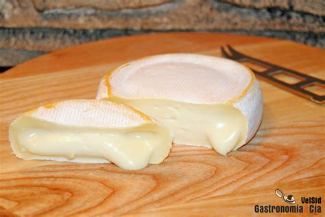 Qu Es El Olor Del Queso Simplemente Bacterias Y Hongos Que Se