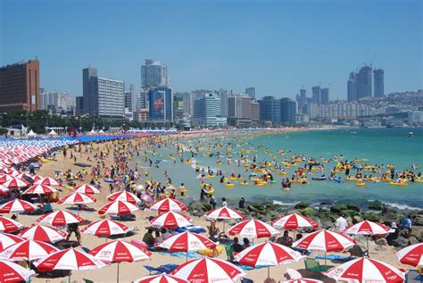 Busan's Best Summer Beach Festivals