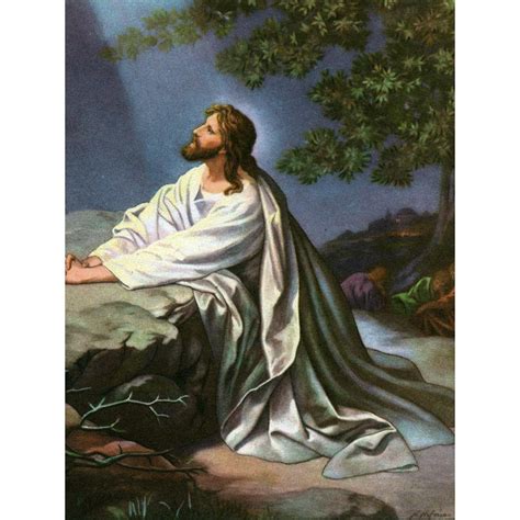 Jesus Prays In The Garden Of Gethsemane Images And Photos Finder