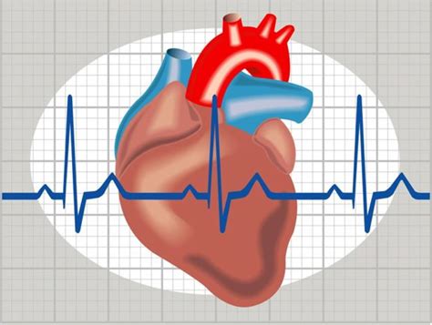 What Is Heart Arrhythmia Symptoms Causes Treatment