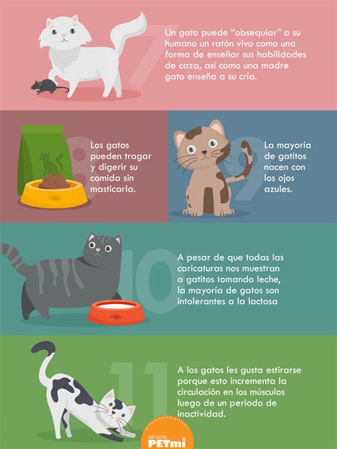 Verbetes De Curiosidades Sobre Animais