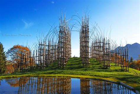 Youll Love This Outdoor Cathedral Made Of Living Breathing Trees