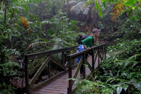 A Self Guided Hike In The Monteverde Cloud Forest Reserve
