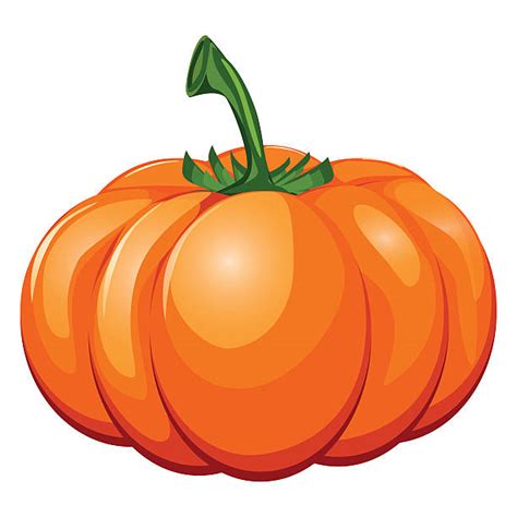 Download for free cartoon orange pumpkin food illustration clipart png image with transparent background for free & unlimited download, in hd quality! Best Pumpkin Seed Illustrations, Royalty-Free Vector ...