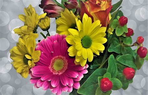 Blumen Blumenstrauß Gerbera Kostenloses Foto Auf Pixabay