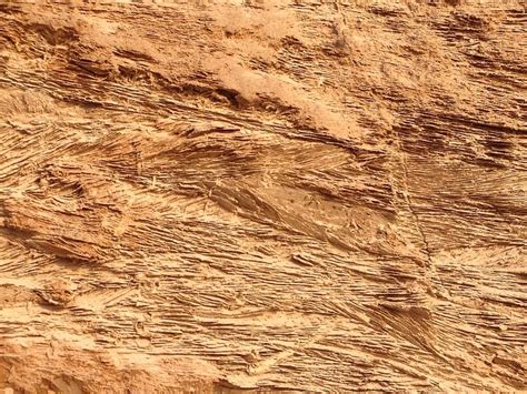 Free Photo Sandstone Rock Cliff Texture Free Image On Pixabay