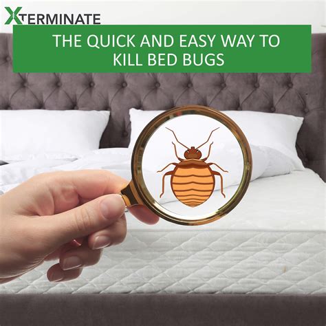 Xterminate Xxl Smoke Bomb Fogger Fumer For Bed Bugs Professional