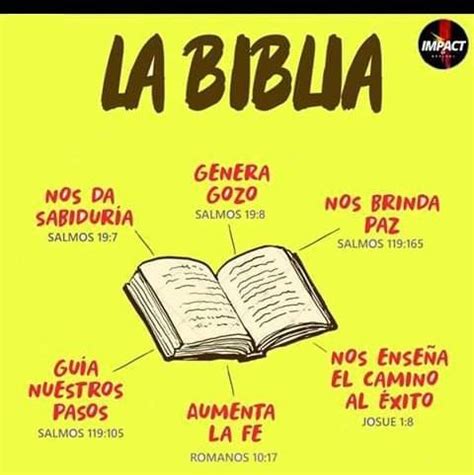 La Biblia Y Sus Partes Brainly Lat