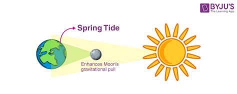 Spring Tide Definition Working Faqs