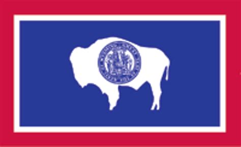 University Of Wyoming Flag 3x5 Uncommon Usa