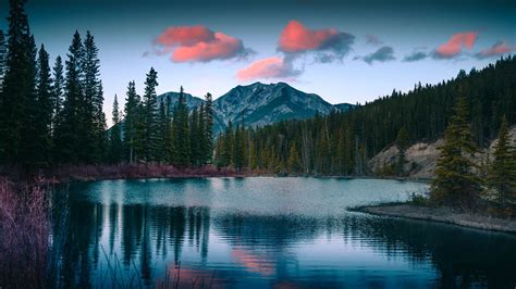 Download Wallpaper 1600x900 Lake Mountains Forest