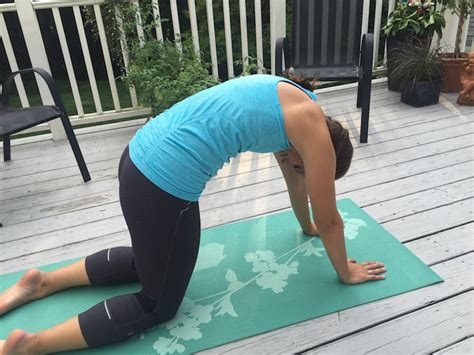 Posturas De Yoga Para Ayudar A Mejorar La Digesti N Estilo De Vida