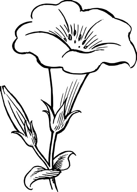 Simple Flowers Clipart Black And White Clipart Panda