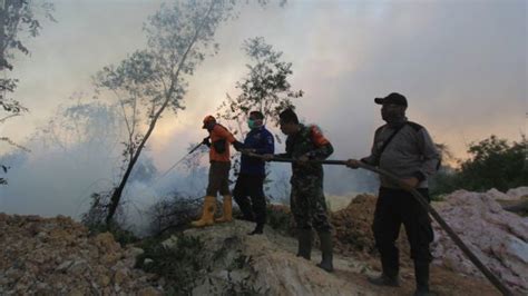 Kebakaran Hutan Dan Lahan Di Aceh Antara Foto My XXX Hot Girl