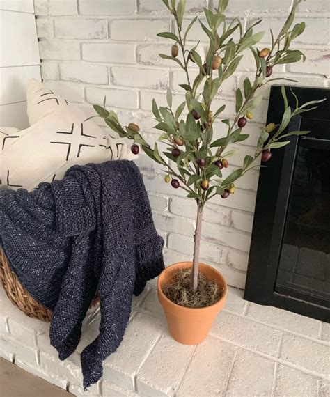 Diy Olive Tree Topiary A Heart Filled Home Diy And Home Decor