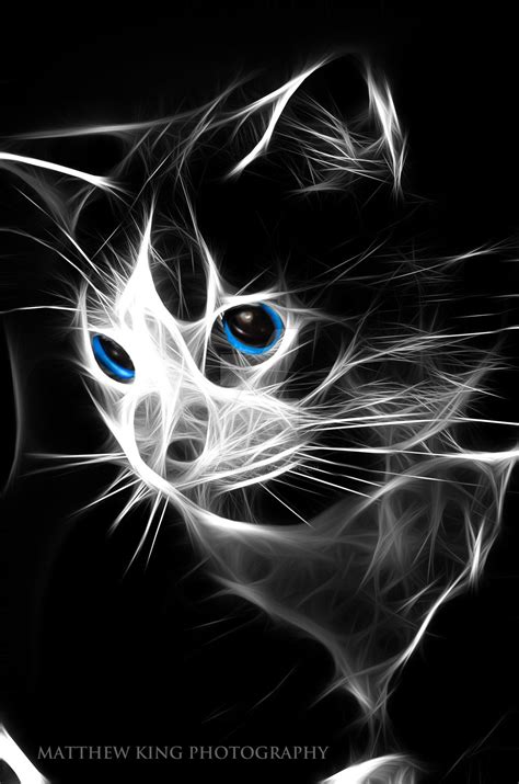 Fractal Cat By Blueblur7000 Cats Cat Artwork Cat Art