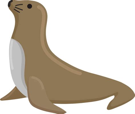 Sea Lion Clipart Free Download Transparent Png Creazilla