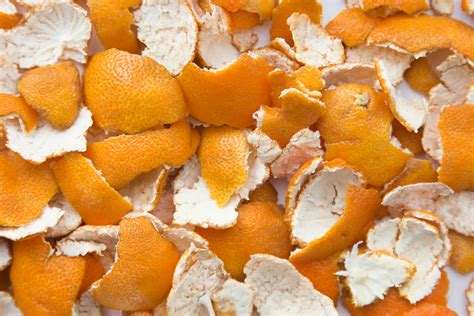 Incredible Benefits Of Orange Peels Naturenewsafrica