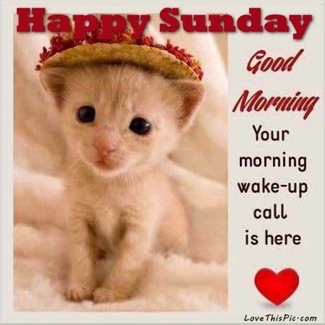 Happy Sunday Good Morning Your Wake Up Call Is Here Pictures Photos