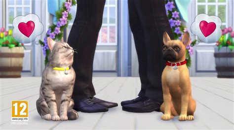 Los Sims 4 Lanzará Su Expansión Perros Y Gatos En Noviembre Con