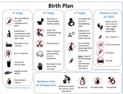birth plan template abby block cddona cbc