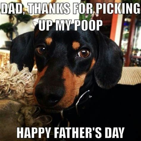 Happy Fathers Day Quotes From Dog Shortquotescc
