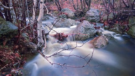 Stream Late Autumn Annyu Situ Flickr