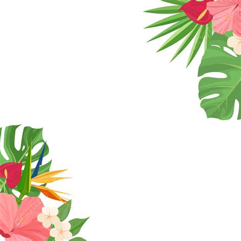 Border With Tropical Flowers Flower Arrangement Beautiful Hibiscus