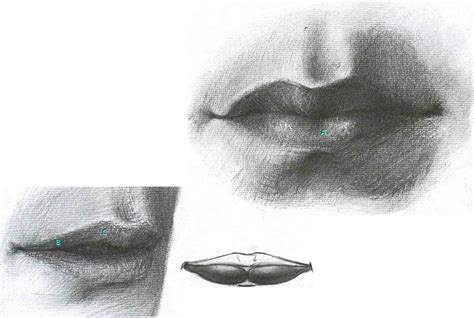 The temporary nature makes it an ideal option for those looking to dip their toe in the lip enhancement arena without a big commitment. The Folds Above The Mouth - Facial Expressions - Joshua ...
