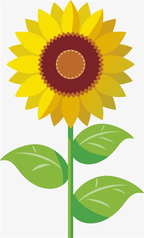 Cartoon Clipart Sunflower Cartoon Sunflower Transparent Free For