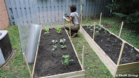 How To Build A Diy Raised Garden Bed And Protect It With A Metal Fence