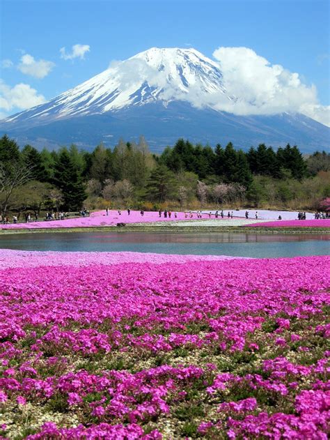 It's not necessarily a very beautiful place in japan, but rather a very interesting and exhilarating one. Top 10 Beautiful Places in Japan for Nature Lovers - Top ...
