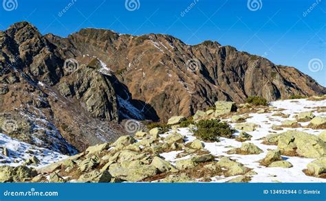 Peak Of The Mountain Covered By Snow Winter In Sochi Russia Stock