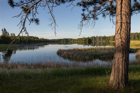 Visit Hayes Lake State Park In Minnesota For A Quiet Day In Nature