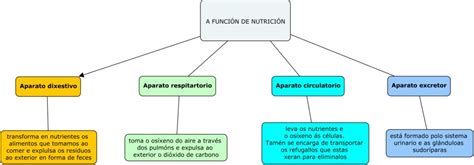 Mapa Conceptual De Nutrición ¡guía Paso A Paso