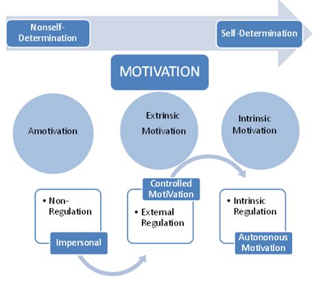 The Self Determined Continuum Of Motivation Scale Of Motivation