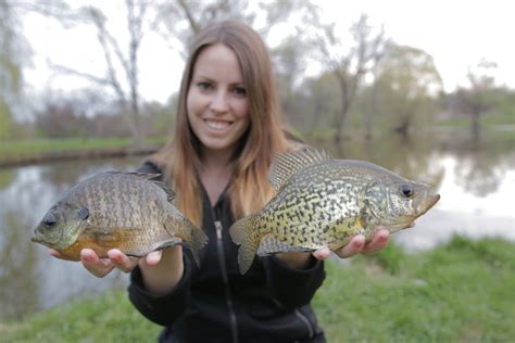 Spring Black Crappie Fishing On The Rideau River Ottawa