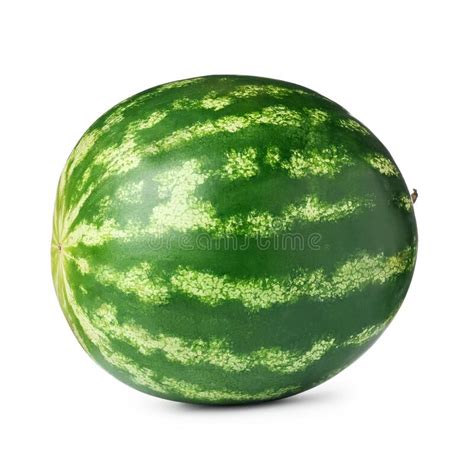 One Whole Ripe Watermelon Isolated On White Stock Image Image Of
